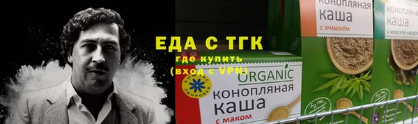 дживик Верхний Тагил