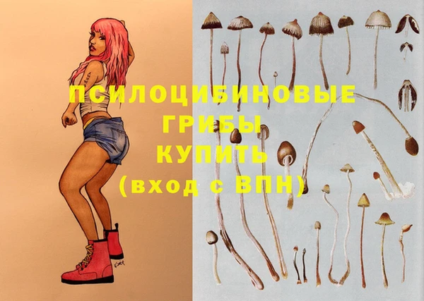 прущие крисы Саяногорск