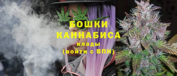 прущие грибы Волосово