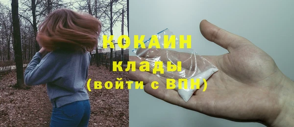 прущие грибы Волосово