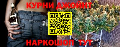 Альфа ПВП Бийск
