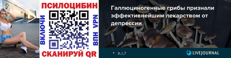 Псилоцибиновые грибы Cubensis  даркнет сайт  Выборг 