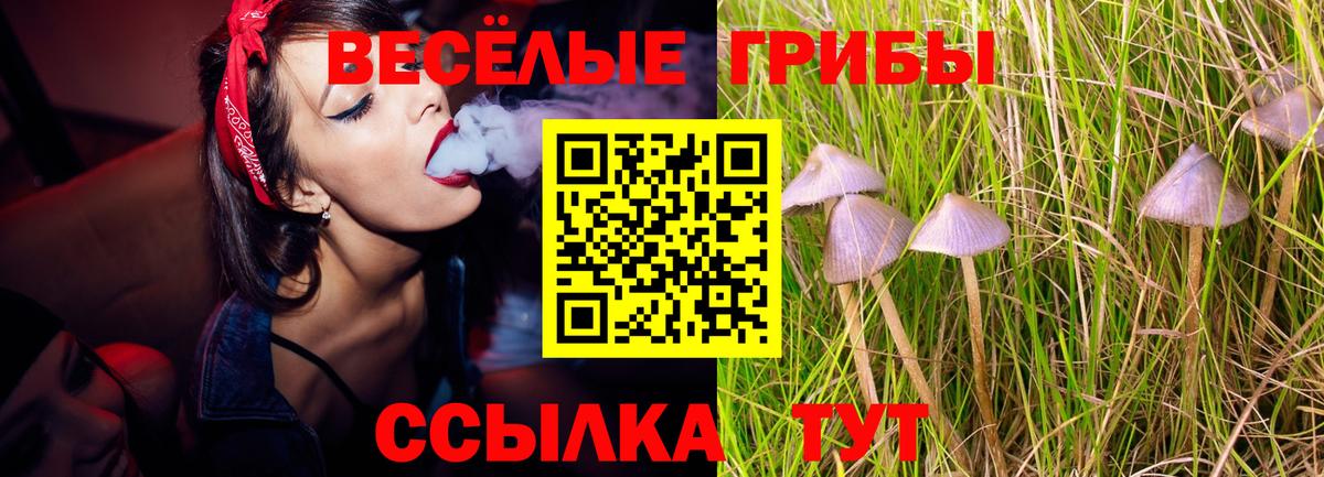 Псилоцибиновые грибы Psilocybine cubensis  Вход с VPN  Выборг 